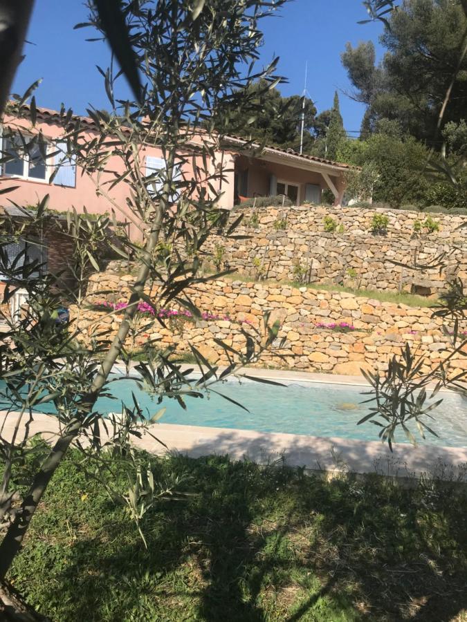 Hauteurs De Toulon : Charmant Studio Piscine Ngoại thất bức ảnh